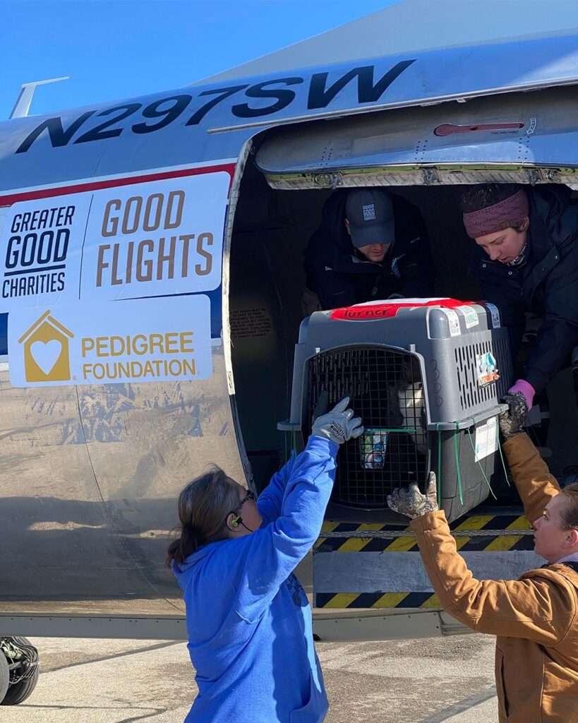 d4d4808c18d5d527b5a4ca2142cff6af