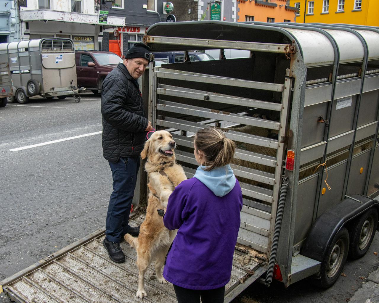 services-02 Man and woman with a Golden Retriever by a trailer on a city street.